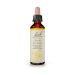 Bach Cerato Ανθοΐαμα 20 ml