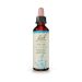 Bach Chicory Ανθοΐαμα 20 ml