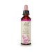 Bach Elm Ανθοΐαμα 20 ml