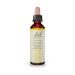 Bach Gentian Ανθοΐαμα 20 ml