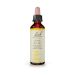 Bach Gorse Ανθοΐαμα 20 ml