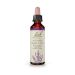Bach Heather Ανθοΐαμα 20 ml