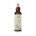 Bach Holly Ανθοΐαμα 20 ml