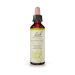 Bach Honeysuckle Ανθοΐαμα 20 ml
