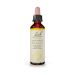 Bach Hornbeam Ανθοΐαμα 20 ml