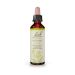 Bach Mustard Ανθοΐαμα 20 ml