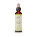 Bach Olive Ανθοΐαμα 20 ml