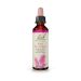 Bach Pine Ανθοΐαμα 20 ml
