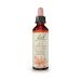 Bach Red Chestnut Ανθοΐαμα 20 ml