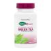 Nature's Plus Herbal Actives Πράσινο Τσάι 750 mg 50/100 Πολυφαινόλες 30 Ταμπλέτες